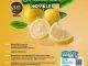 El 30 de julio te esperamos en la fiesta de los Limones Solidarios de Novales @LimonSolidarios