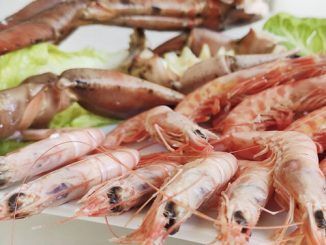 Las claves para elegir y disfrutar los mariscos en estas fiestas