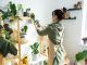 Plantas peligrosas: cuáles es mejor evitar en casas, terrazas y jardines comunitarios