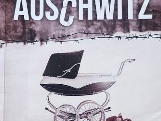 16 de mayo Día de la Resistencia gitana en Auschwitz en Santander