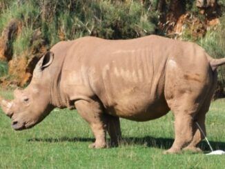 El Parque de la Naturaleza de Cabárceno participa en el  Congreso Anual de AIZA