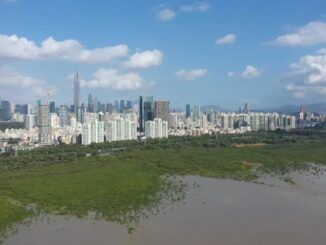 El oasis urbano de Shenzhen que propicia la conservación de manglares y fomenta la biodiversidad