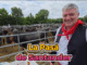Disfruta de la Pasá de Santander