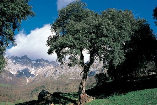 Cantabria busca fidelizar al viajero de Castilla y León Cantabria busca fidelizar al viajero de Castilla y León